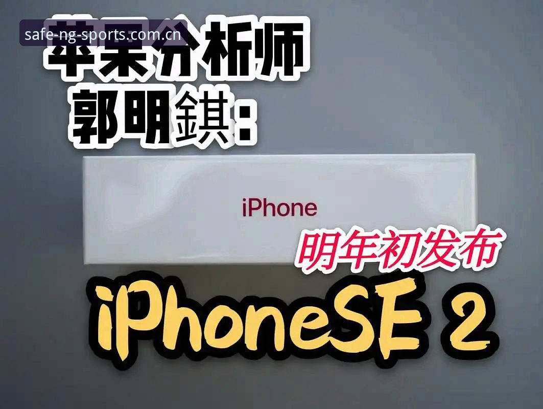 ng体育最新版本哪个好：实战派玩家教你快速识别最佳版本